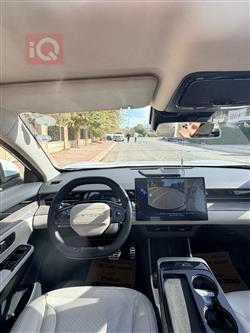 جیتۆر داشينگ